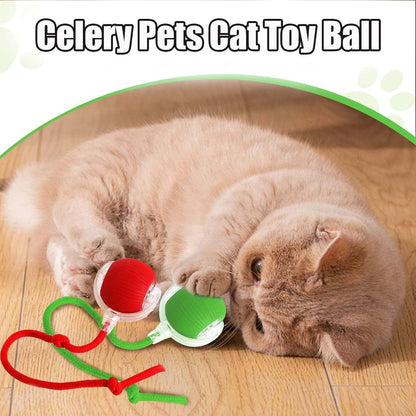 Pametna Loptica za Igru - Catball