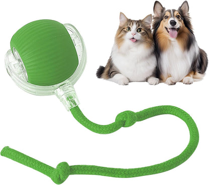 Pametna Loptica za Igru - Catball